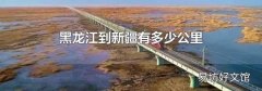 黑龍江到新疆有多少公里