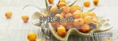 沙棘怎么吃