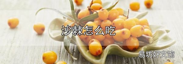 沙棘怎么吃