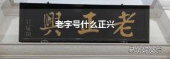 老字號什么正興