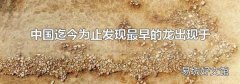 中國迄今為止發現最早的龍出現于