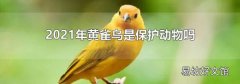 2021年黃雀鳥是保護動物嗎