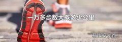 一萬多步數大概多少公里