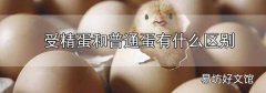 受精蛋和普通蛋有什么區別