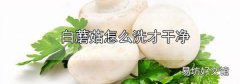白蘑菇怎么洗才干凈