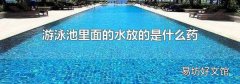 游泳池里面的水放的是什么藥