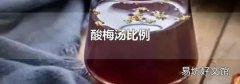 酸梅湯比例