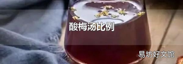 酸梅湯比例