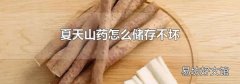 夏天山藥怎么儲存不壞