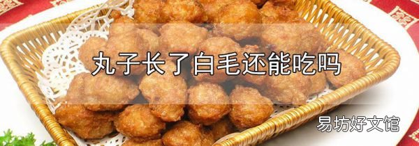 丸子長了白毛還能吃嗎