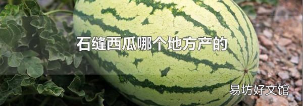 石縫西瓜哪個地方產的