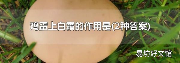2種答案 雞蛋上白霜的作用是