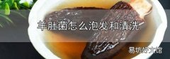 羊肚菌怎么泡發和清洗