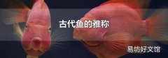 古代魚的雅稱