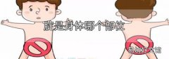 腚是身體哪個部位
