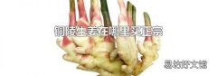 銅陵生姜在哪里買正宗
