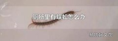 廁所里有蜈蚣怎么辦