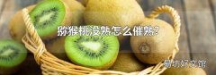 獼猴桃沒熟怎么催熟?