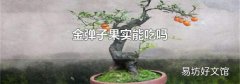 金彈子果實能吃嗎