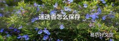 迷迭香怎么保存