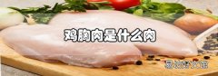 雞胸肉是什么肉