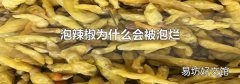 泡辣椒為什么會被泡爛