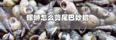 螺螄怎么剪尾巴妙招