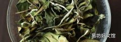 白茶的四個分類