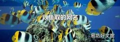 以魚取的網名