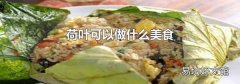 荷葉可以做什么美食
