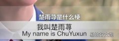 楚雨蕁是什么梗