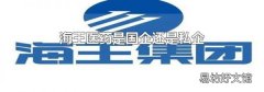 海王醫藥是國企還是私企