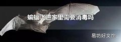 蝙蝠飛進家里需要消毒嗎