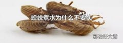蟬蛻煮水為什么不要頭