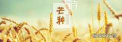 芒種是幾月幾日