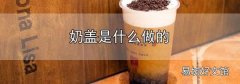 奶蓋是什么做的