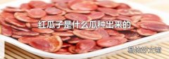 紅瓜子是什么瓜種出來的