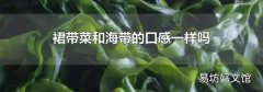 裙帶菜和海帶的口感一樣嗎