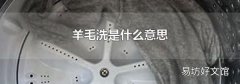 羊毛洗是什么意思
