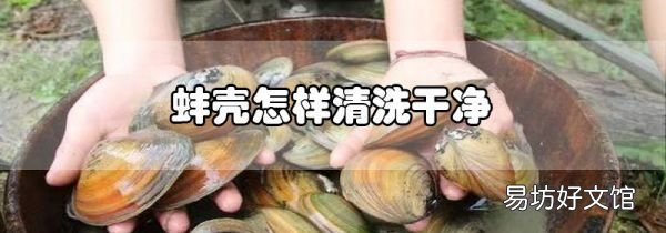 蚌殼怎樣清洗干凈