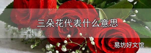 三朵花代表什么意思