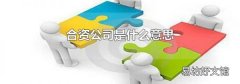 合资公司是什么意思