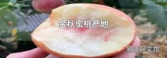 金秋蜜桃產地