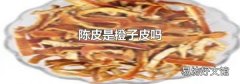 陳皮是橙子皮嗎