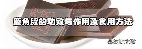 鹿角膠的功效與作用及食用方法