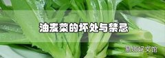 油麦菜的坏处与禁忌