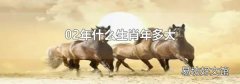 02年什么生肖年多大