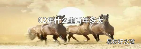 02年什么生肖年多大