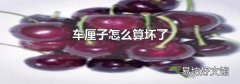 車厘子怎么算壞了