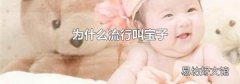 為什么流行叫寶子